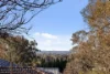 21 Pelsart Street, Red Hill, ACT 2603-Image