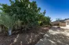 21 Piave Street, Wandina, WA 6530-Image
