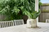 21 Rowley Street, Strathpine, Qld 4500-Image