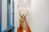 21 Ruth Street, Perth, WA 6000-Image