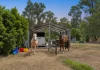 21 Shiloh Court, Pine Mountain, Qld 4306-Image