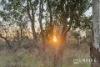 21 Sierra Chase, Leeming, WA 6149-Image