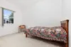 21 Springdale Road, Wentworthville, NSW 2145-Image