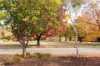 21 Stanley Street, Hackett, ACT 2602-Image