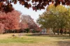 21 Stanley Street, Hackett, ACT 2602-Image