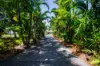21 Stormy Rise, River Heads, Qld 4655-Image