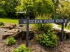 21 The Parkway, Aroona, Qld 4551-Image