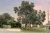 21 Warrandyte Drive, Craigie, WA 6025-Image