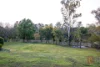 21 Wilmot Place, Singleton, NSW 2330-Image