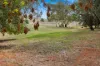 21 Winton Road, Birdwood, SA 5234-Image