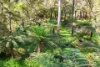21 Wombat Crescent, East Warburton, Vic 3799-Image