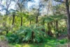 21 Wombat Crescent, East Warburton, Vic 3799-Image