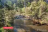 21 Wombat Crescent, East Warburton, Vic 3799-Image