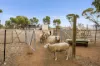 21 York Gum Drive, Goomalling, WA 6460-Image