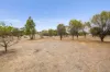 21 York Gum Drive, Goomalling, WA 6460-Image