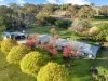 210 Belmore Road, Young, NSW 2594-Image