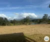 210 Clutha Creek Road, Tamborine, Qld 4270-Image