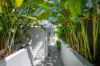 210 Edwards Street, Sunshine Beach, Qld 4567-Image