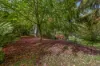 210 Gembrook-Tonimbuk Road, Gembrook, Vic 3783-Image
