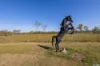 210 Kentish Road, Livingstone, NT 0822-Image