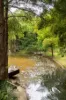 210 Lone Hand Road, Eumundi, Qld 4562-Image