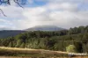210 Old Gads Hill Road, Liena, Tas 7304-Image