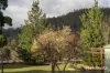 210 Old Gads Hill Road, Liena, Tas 7304-Image