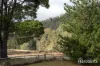 210 Old Gads Hill Road, Liena, Tas 7304-Image