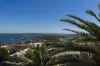 210 Old South Head Road, Vaucluse, NSW 2030-Image