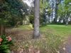 210 Tourist Road, Beaumont NSW 2577-Image