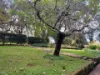 210 Tourist Road, Beaumont NSW 2577-Image