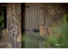 2101 Maleny Stanley River Road, Booroobin, Qld 4552-Image