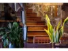 2101 Maleny-Stanley River Road, Booroobin, Qld 4552-Image