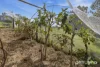 211/1583 Nubeena Road, Nubeena, Tas 7184-Image