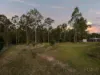 211-215 Bidyan Boulevard, New Beith, Qld 4124-Image