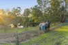 211 Aubreys Road, Magpie, Vic 3352-Image