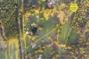 211 Aubreys Road, Magpie, Vic 3352-Image