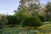 211 Drumwood Road, Jindera, NSW 2642-Image