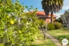 211 Gordons Hill Road, Lindisfarne, Tas 7015-Image