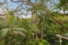 211 Latrobe Terrace, Paddington, Qld 4064-Image
