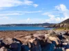 211 Old Bass Highway, Wynyard, Tas 7325-Image