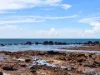 211 Old Bass Highway, Wynyard, Tas 7325-Image