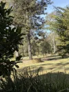 2112 Beaudesert-Beenleigh Road, Tamborine, Qld 4270-Image