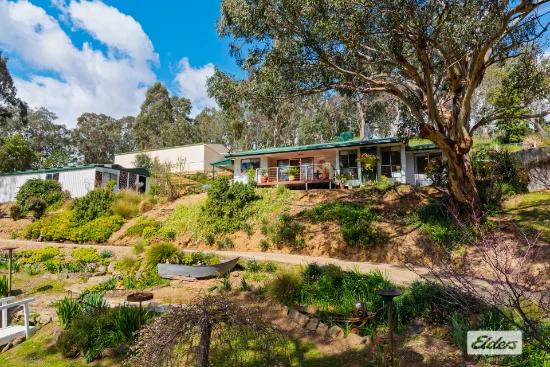 211C Murray Valley Highway, Tallangatta, Vic 3700