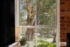 211C Murray Valley Highway, Tallangatta, Vic 3700-Image