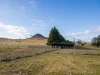 212 Chandlers Peak Road, Guyra NSW 2365-Image