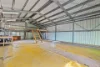 212 Dayman Street, Torquay, Qld 4655-Image
