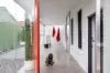 212 Flood Street, Leichhardt, NSW 2040-Image