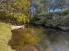 2121 Mt Buller Road, Merrijig, Vic 3723-Image