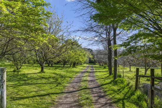 2122 Euroa-Strathbogie Road, Strathbogie, Vic 3666